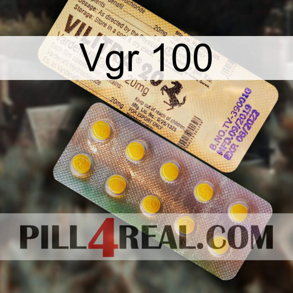 Vgr 100 new06.jpg